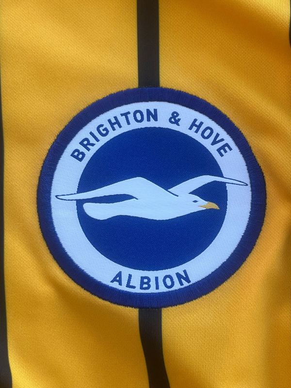 Signed home shirt Brighton and Hove Albion Mats Wiefer 