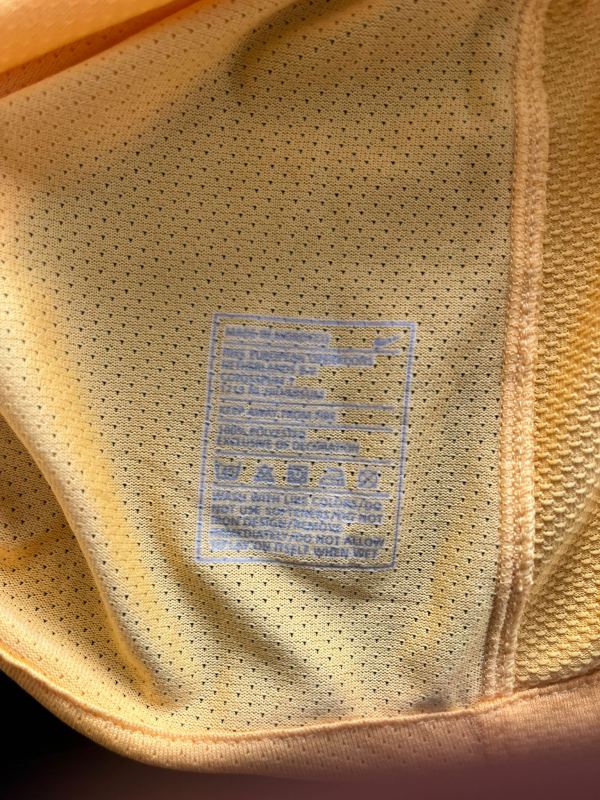 Matchworn Celtic FC - Glenn Loovens - An Gorta Mór vs Hibernian FC