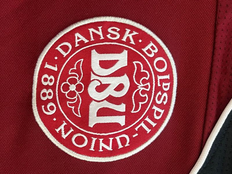 Worn training top Denmark  Lasse Schöne