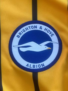 Signed home shirt Brighton and Hove Albion Mats Wiefer 