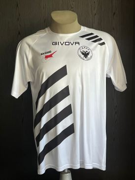 Match worn shirt PAEEK Kevin Jansen