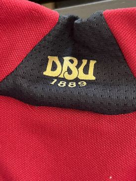 Worn training top Denmark  Lasse Schöne