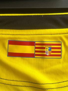 Matchworn Shirt Real Zaragoza Glenn Loovens