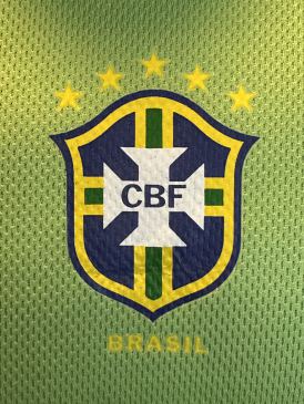 Match worn goalkeeper shirt Brazil Heurelho Gomes